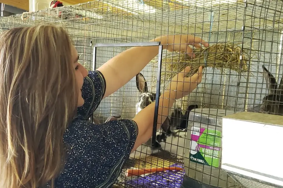 Laura Pierce tending to one of her rabbit's cages.